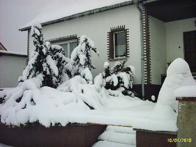 Winter 2010 011